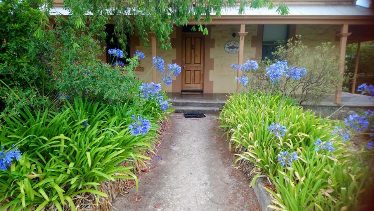 Walnut Cottage Angaston Eksteriør billede