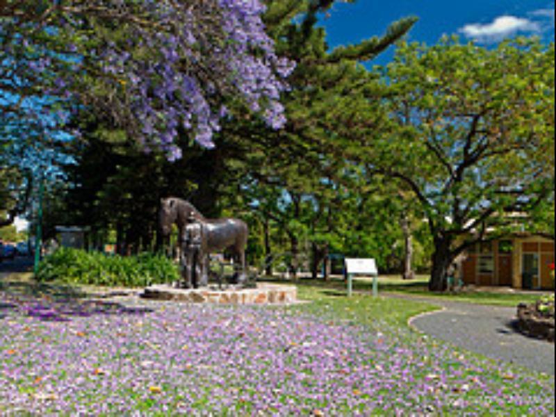 Walnut Cottage Angaston Eksteriør billede