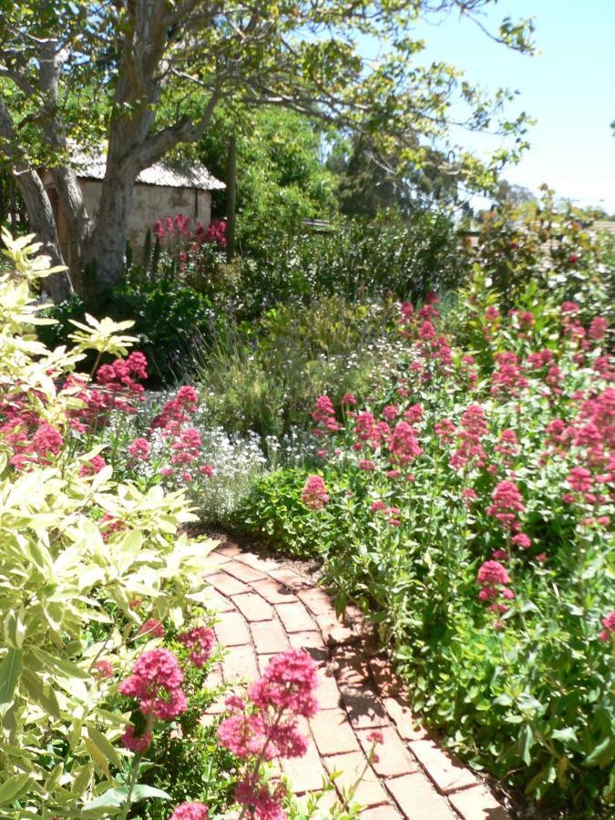 Walnut Cottage Angaston Værelse billede